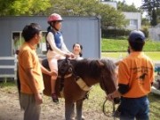 乗馬体験。