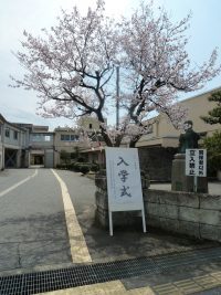 校門の桜の木と看板