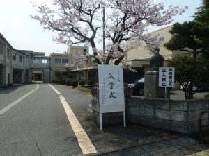 校門の桜の木と入学式の看板