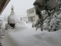 積雪の状況