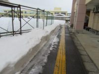 除雪された寄宿舎から校舎への通学路