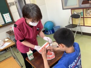 模型を使って歯の生え方を教わる児童 模型を使って歯の生え方を教わる児童