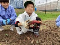 収穫したさつま芋と記念撮影をする様子 収穫したさつま芋と記念撮影をする様子