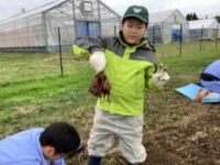 さつまいもを掘り出してうれしそうな児童 さつまいもを掘り出してうれしそうな児童