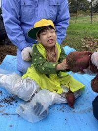 大きなさつまいもの感触を楽しむ児童 大きなさつまいもの感触を楽しむ児童